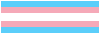Trans Pride